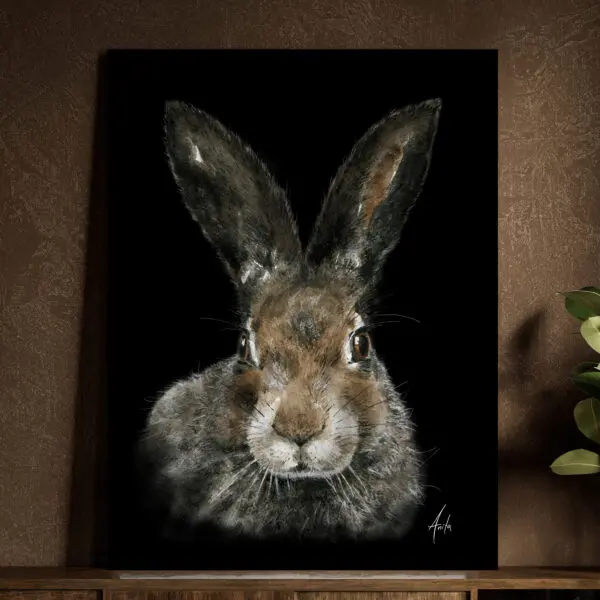 Hare (sort bakgrunn)