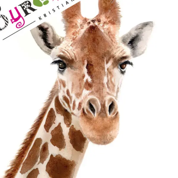 Giraff