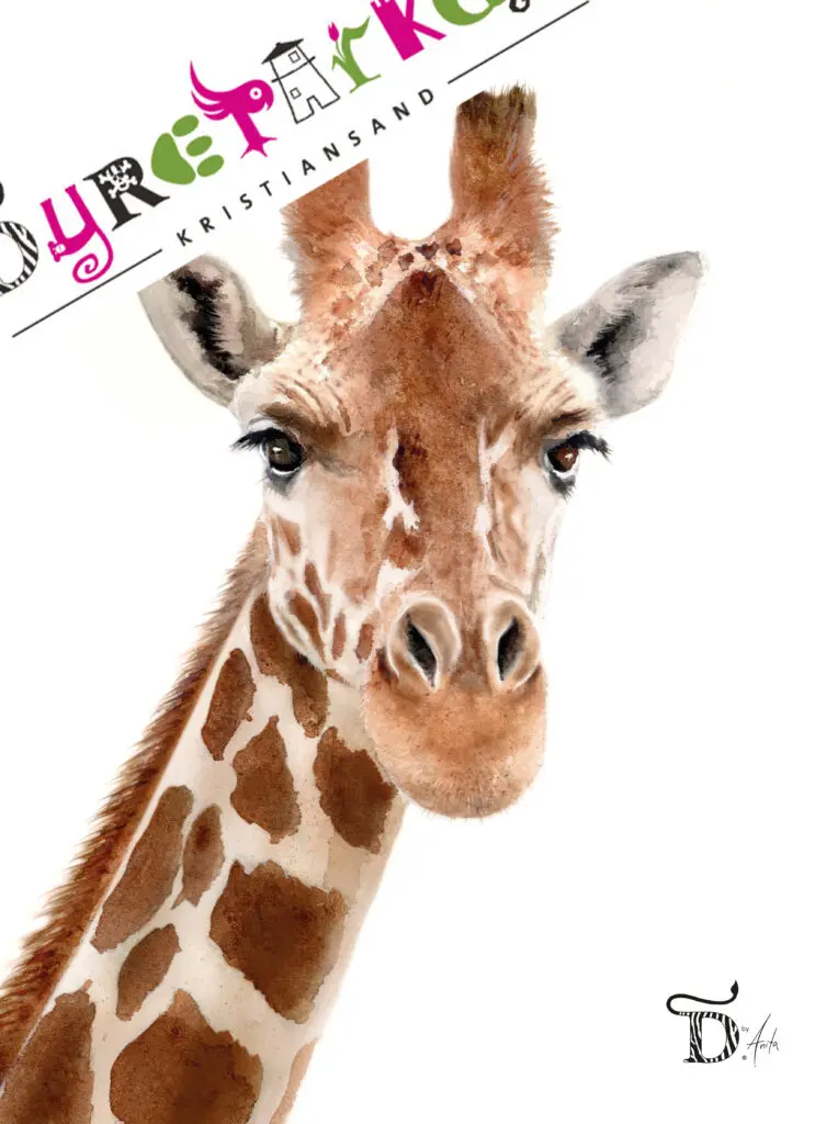 Giraff